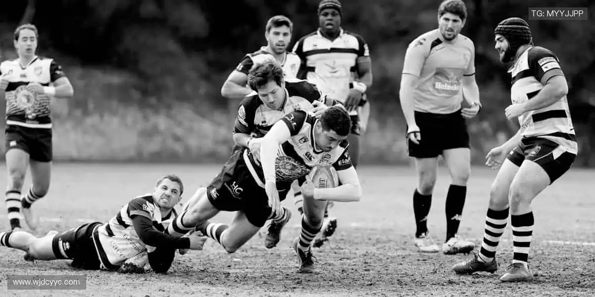 高清直播，互动不停！🎮