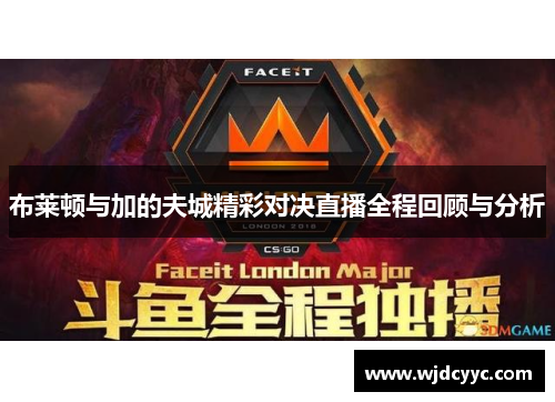 布莱顿与加的夫城精彩对决直播全程回顾与分析